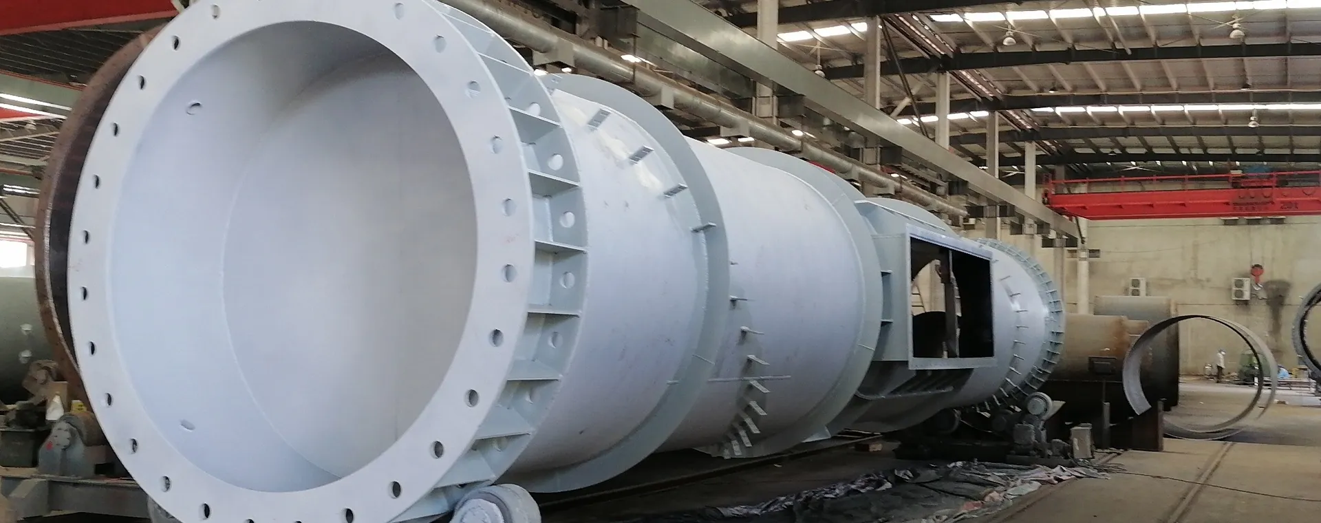 Biomass Plant Chimney Solutions